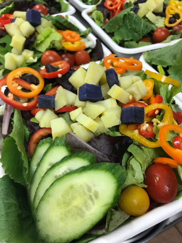 plain fit4you salad